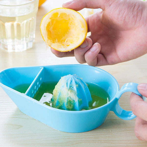 Manual Fruit Juicer